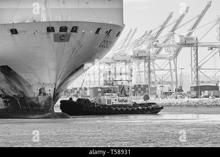 Schwarz-weiß-Foto von COSCO Ningbo Containerschiff wird in Liegeplatz J270 von AmNav Tractor Tug Independence am Long Beach Container Terminal geführt Stockfoto