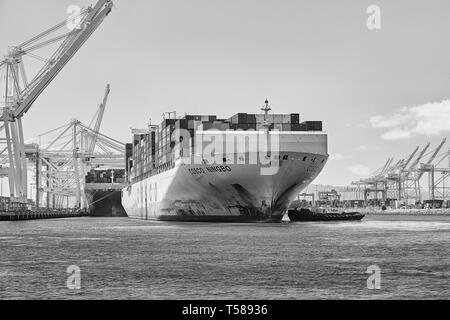 Schwarz-weiß Foto Der cosco Versand, Containerschiff, COSCO Ningbo, geleitet in die Koje J 270 von Schleppern Am Langen Strand des Containerterminals. Stockfoto