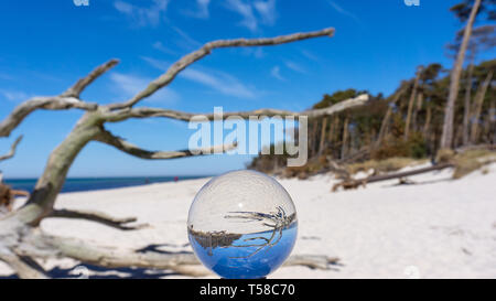 Schöner Strand mit weißem Sand und blauem Himmel in einem 3d Glaskugel Stockfoto