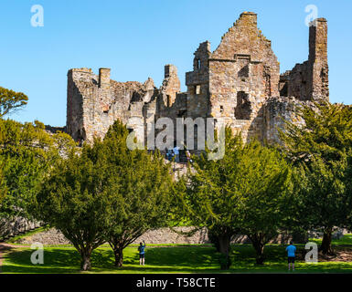 Mittelalterliche Ruinen aus dem 13. Jahrhundert Dirleton Castle Festung, beliebte Besucherattraktion, East Lothian, Schottland, Großbritannien mit blauer Himmel Stockfoto