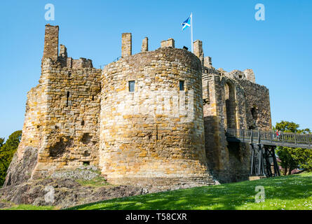 Mittelalterliche 13. Jahrhundert Dirleton Castle Festung mit Burggraben, beliebte Besucherattraktion, East Lothian, Schottland, Großbritannien mit blauer Himmel Stockfoto