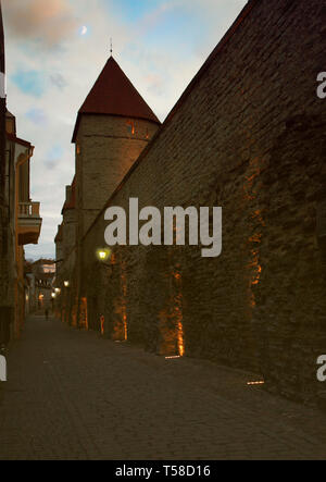 Alte Stein mittelalterliche Straße im historischen Teil der Stadt Tallinn in der Nacht. Estland. Stockfoto