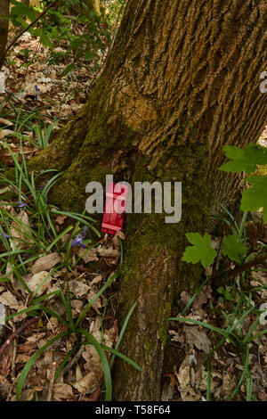 Eingang in die Basis der großen Baum als Tor zur Natur abstrakt Stockfoto