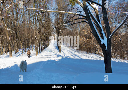 Gasse der Stadt Park im Schnee an einem sonnigen Tag vor einem blauen Himmel. Der Mann mit seinem Hund spazieren geht. Stockfoto
