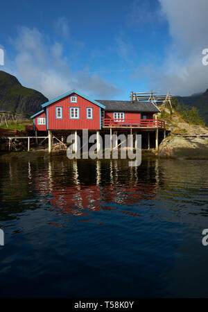 Die rote Rorbu traditionellen norwegischen Fischer Häuser auf hölzernen Stelzen im Fischerdorf Å auf Moskenesøya in den Lofoten norwegen Stockfoto