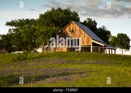 Bluebonnet Trail Scheune in der Nähe von Ennis, Texas Stockfoto