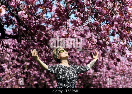 Sonnige Yant, von Morningside, übt ihre Tai-chi unter der Kirschblüte in den Wiesen, Edinburgh, wie das Vereinigte Königreich weiterhin die warme Ostern Wetter zu genießen. Stockfoto