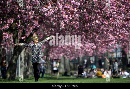 Sonnige Yant, von Morningside, übt ihre Tai-chi unter der Kirschblüte in den Wiesen, Edinburgh, wie das Vereinigte Königreich weiterhin die warme Ostern Wetter zu genießen. Stockfoto