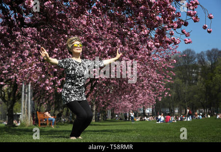 Sonnige Yant, von Morningside, übt ihre Tai-chi unter der Kirschblüte in den Wiesen, Edinburgh, wie das Vereinigte Königreich weiterhin die warme Ostern Wetter zu genießen. Stockfoto