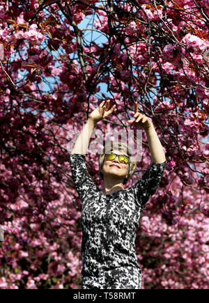 Sonnige Yant, von Morningside, übt ihre Tai-chi unter der Kirschblüte in den Wiesen, Edinburgh, wie das Vereinigte Königreich weiterhin die warme Ostern Wetter zu genießen. Stockfoto