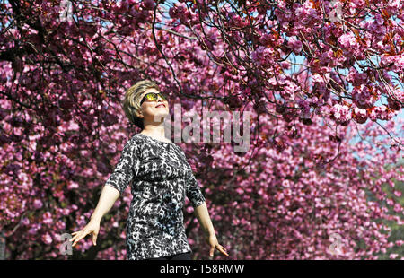 Sonnige Yant, von Morningside, übt ihre Tai-chi unter der Kirschblüte in den Wiesen, Edinburgh, wie das Vereinigte Königreich weiterhin die warme Ostern Wetter zu genießen. Stockfoto