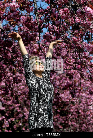 Sonnige Yant, von Morningside, übt ihre Tai-chi unter der Kirschblüte in den Wiesen, Edinburgh, wie das Vereinigte Königreich weiterhin die warme Ostern Wetter zu genießen. Stockfoto