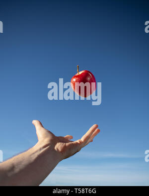 Hand werfen roten Apfel in die Luft mit blauen Himmel Hintergrund Stockfoto