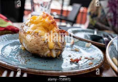 Gebratene Kartoffeln gefüllt mit Cheddar Käse auf blauen Platte Stockfoto