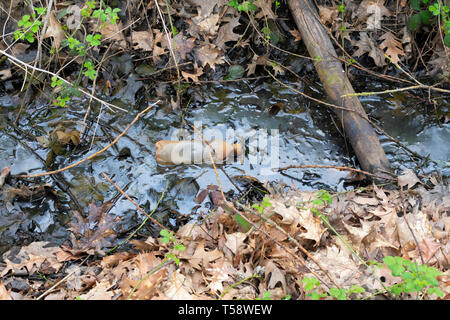 Plastikflasche in einer Pfütze von Touristen in der Natur Links Stockfoto