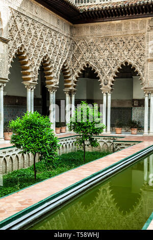 Innenhof, Real Alcazar De Sevilla (Royal Palace von Sevilla), Sevilla, Spanien Stockfoto