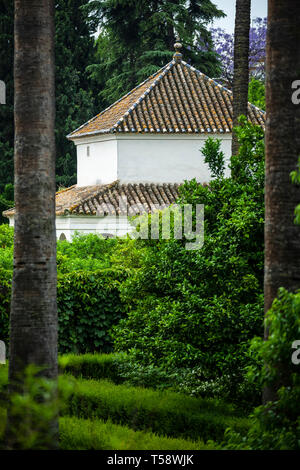 Garten, Real Alcazar De Sevilla (Royal Palace von Sevilla), Sevilla, Spanien Stockfoto
