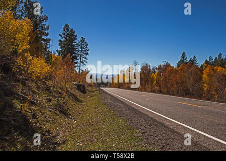 Quacking Aspen auf dem Scenic Byway 3 Stockfoto