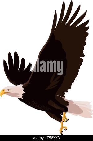 Schöne bald eagle flying Vector Illustration Design Stock Vektor