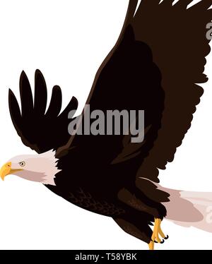 Schöne bald eagle flying Vector Illustration Design Stock Vektor