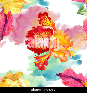 Rot fett Begegnung iris Blumen botanischen Blumen. Aquarell Hintergrund Abbildung. Nahtlose Muster. Stockfoto