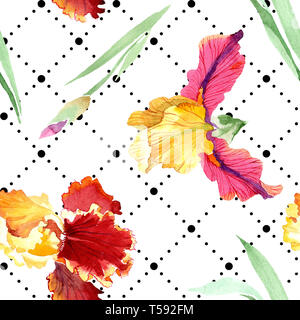 Rot fett Begegnung iris Blumen botanischen Blumen. Aquarell Hintergrund Abbildung. Nahtlose Muster. Stockfoto