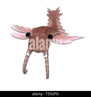 Anomalocaris, Kreatur der kambrischen Periode, isoliert auf weißem Hintergrund (3d paleoart Abbildung) Stockfoto