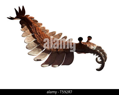 Anomalocaris, Kreatur der kambrischen Periode, isoliert auf weißem Hintergrund (3d-Wissenschaft rendern) Stockfoto