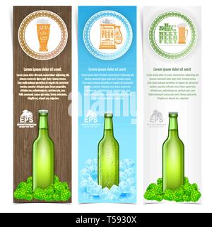 Broschüre Vorlage für Bier Thema mit grünen Flasche auf hop und Ice Cube Stock Vektor