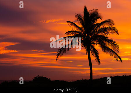 Einen spektakulären Sonnenaufgang auf der Durban South Beach leuchtet der Himmel in surrealen Farben. Stockfoto