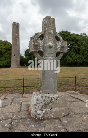 Der Stein hohe Kreuz und runder Turm, Kilree Klosteranlage mit Kirche Ruinen, County Kilkenny, Irland. Stockfoto