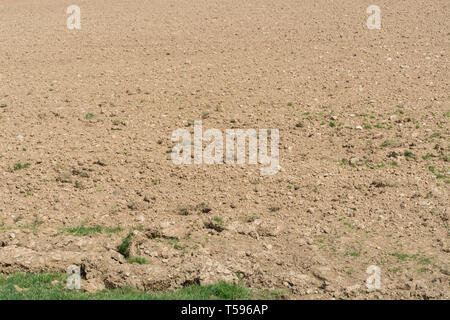 Feld in Cornwall, England, mit gerösteten gepflügten Boden nach dem Zeitraum von wenig Regen. Metapher für Wasserknappheit, trockenes Wetter. Gepflügten Boden Textur. Stockfoto