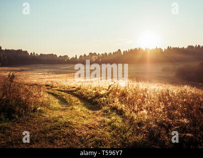 Malerische fairy Sonnenaufgang über einem nebligen Morgen Wiese im Sommer. Straße Stockfoto