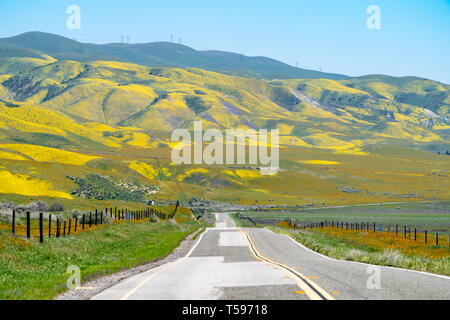 Führende Linien der Autobahn 58 durch Carrizo Plain National Monument zu gehen, wenn die Hügel sind mit bunten wildflowers während einer superbloom gefüllt Stockfoto