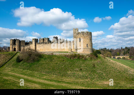 Gateway, Record Tower und Lion Brücke an Alnwick Castle in Northumberland, England, Großbritannien Stockfoto