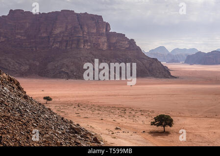 Blick vom Felsen von Lawrence Frühling im Wadi Rum Tal auch genannt Tal des Mondes in Jordanien Stockfoto