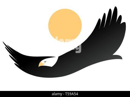 American Eagle oder White-eagle geleitet, auf der Sonne auf weißem Hintergrund fliegen Stock Vektor