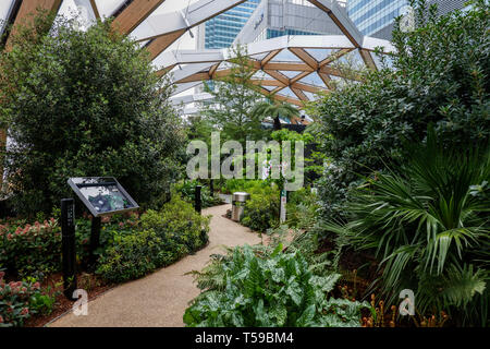 Crossrail, Dachgarten, Canary Wharf, London Stockfoto