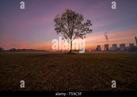 Ein einsamer Baum in einem Feld mit Ferrybridge Power Station im Hintergrund, bei Sonnenaufgang. Stockfoto