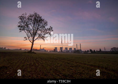 Ein einsamer Baum in einem Feld mit Ferrybridge Power Station im Hintergrund, bei Sonnenaufgang. Stockfoto