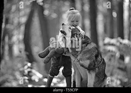 Mädchen mit Hund im Herbst Wald. Mädchen spielen mit Husky und Teddybär auf frische Luft im Freien Stockfoto