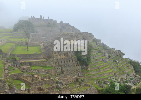 Machu Picchu am Morgen Nebel, Peru Stockfoto