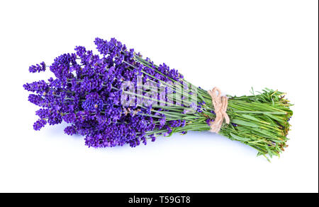 Lavendel Blumenstrauß auf weißem Hintergrund Stockfoto