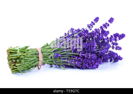 Lavendel Bündel mit Seil auf weißem Hintergrund gebunden Stockfoto