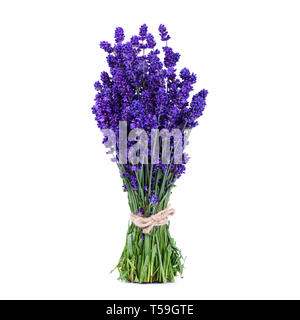 Lavendel Blumenstrauß auf weißer Tisch, isoliert Stockfoto