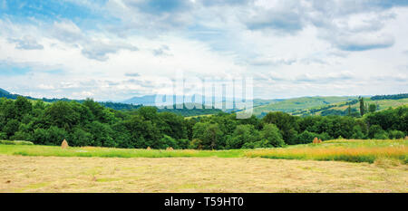 Panorama einer Landschaft in Berg an einem bewölkten Tag. schöne Landschaft mit ländlichen Heuwiesen auf Hügeln in der Nähe des Waldes. ridge mit High Peak in der Stockfoto