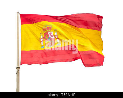 Flagge Spaniens, genannt La Rojigualda, winkend auf einem weißen Hintergrund. Stockfoto