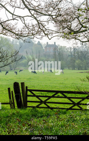 Ackerland in der Nähe von Shifnal, Shropshire, Großbritannien Stockfoto