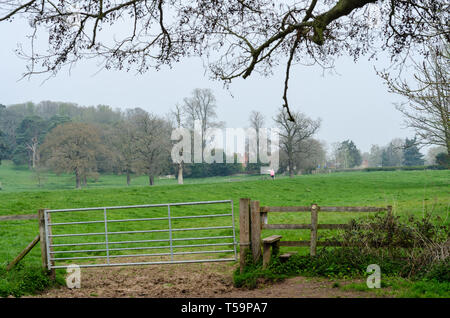 Ackerland in der Nähe von Shifnal, Shropshire, Großbritannien Stockfoto