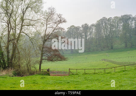 Ackerland in der Nähe von Shifnal, Shropshire, Großbritannien Stockfoto